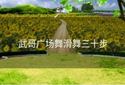 武哥广场舞滑舞三十步