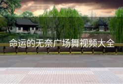 命运的无奈广场舞视频大全