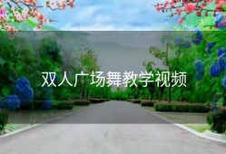 双人广场舞教学视频