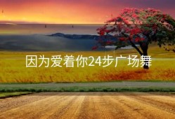 因为爱着你24步广场舞