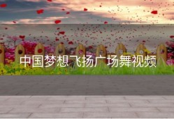 中国梦想飞扬广场舞视频