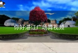 你好湛江广场舞视频
