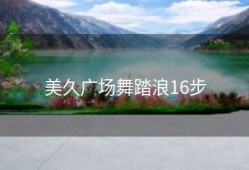 美久广场舞踏浪16步