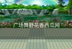 广场舞野花香西瓜网