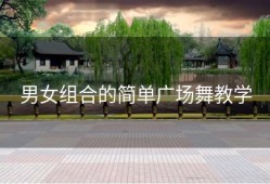 男女组合的简单广场舞教学