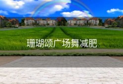 珊瑚颂广场舞减肥