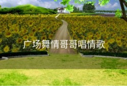 广场舞情哥哥唱情歌