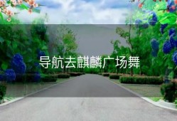 导航去麒麟广场舞