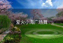爱火小海广场舞