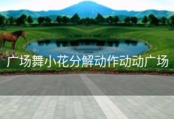 广场舞小花分解动作动动广场