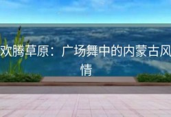 欢腾草原：广场舞中的内蒙古风情