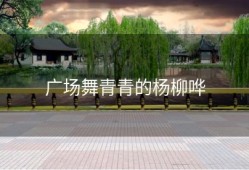 广场舞青青的杨柳哗