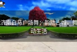 济南白马广场舞：韵动古城，舞动生活