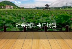 社会摇舞曲广场舞