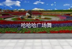 哈哈哈广场舞