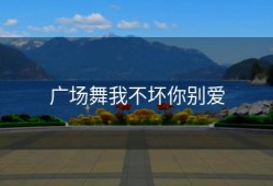 广场舞我不坏你别爱