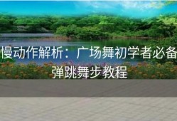 慢动作解析：广场舞初学者必备弹跳舞步教程