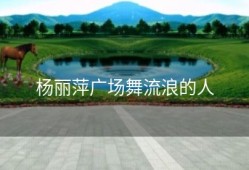 杨丽萍广场舞流浪的人