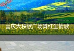 喜庆大秧歌广场舞红尘情歌