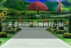 天道轮回广场舞教程分解