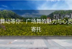 舞动等你：广场舞的魅力与心灵寄托
