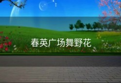 春英广场舞野花