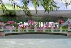 广场舞小区排练图片