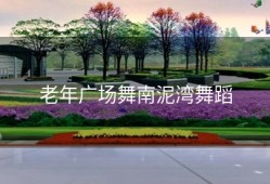 老年广场舞南泥湾舞蹈