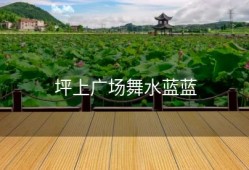 坪上广场舞水蓝蓝