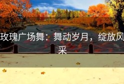 玫瑰广场舞：舞动岁月，绽放风采
