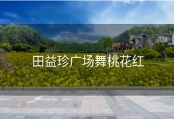 田益珍广场舞桃花红