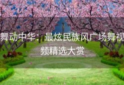 舞动中华：最炫民族风广场舞视频精选大赏