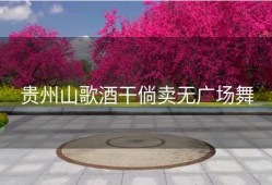 贵州山歌酒干倘卖无广场舞