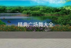 精典广场舞大全