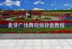 麦芽广场舞视频背面教程