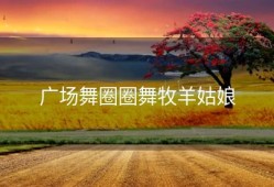 广场舞圈圈舞牧羊姑娘