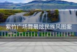 紫竹广场舞最炫民族风图案