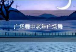 广场舞中老年广场舞