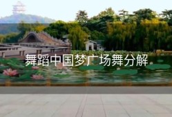 舞蹈中国梦广场舞分解