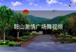 鞍山激情广场舞视频