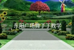 东阳广场舞丁丁教学