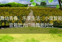 舞动青春，乐享生活：小度智能音箱助力广场舞新时代