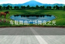 车载舞曲广场舞夜之光