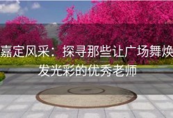 嘉定风采：探寻那些让广场舞焕发光彩的优秀老师