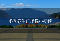 冬季养生广场舞小视频
