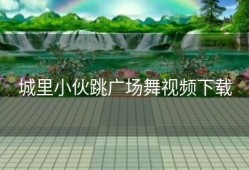 城里小伙跳广场舞视频下载