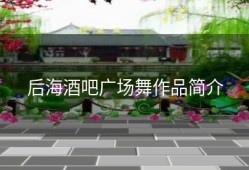 后海酒吧广场舞作品简介