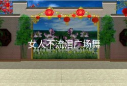 女人不流泪广场舞