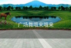 广场舞哦来哦来