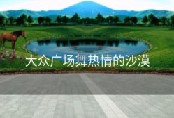 大众广场舞热情的沙漠